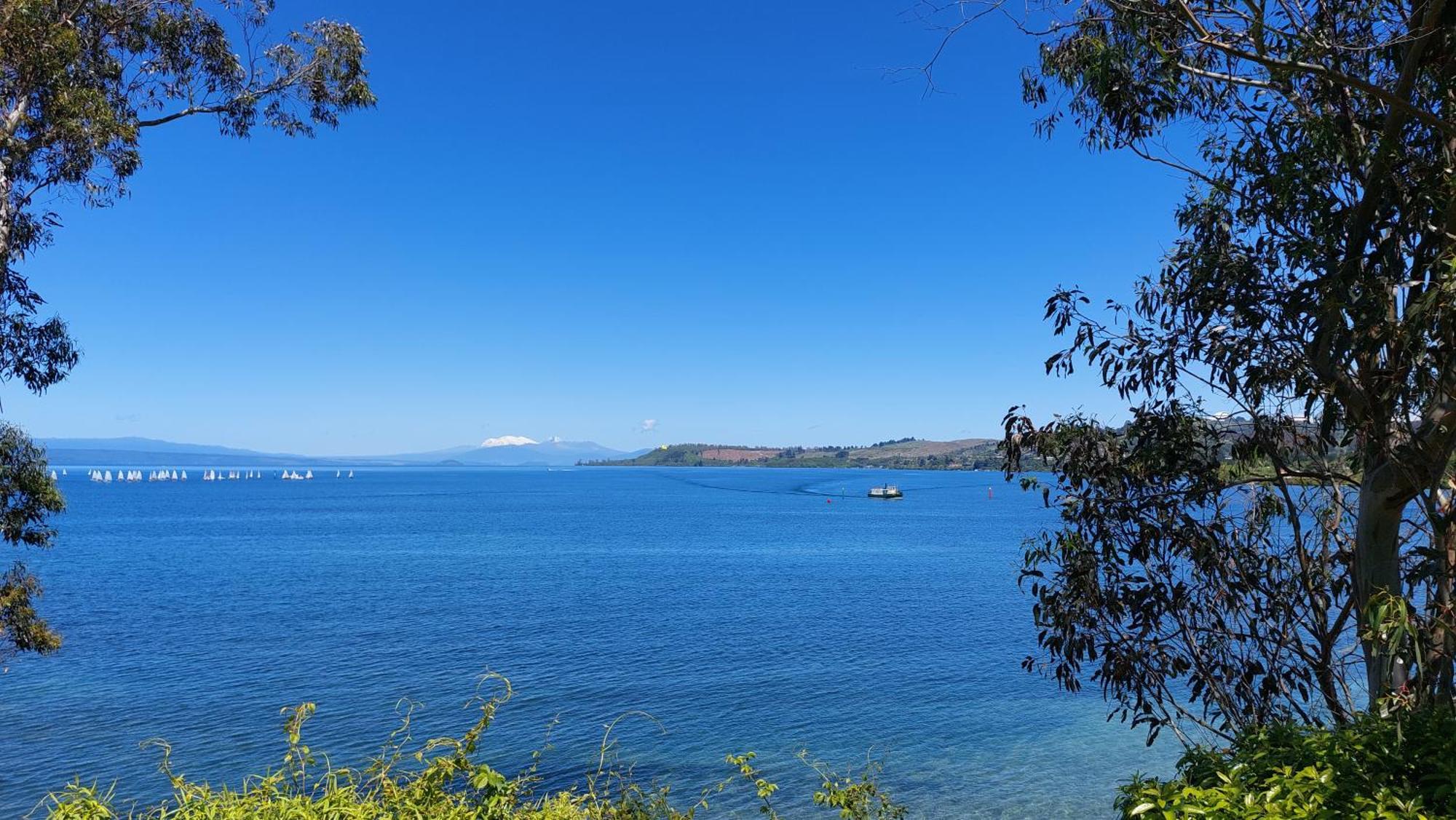 Bed And Breakfast Happy Home Taupo Accommodation Extérieur photo